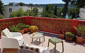 Apartment Axelle 50 Meters To The Beach